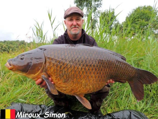 Miroux Simon