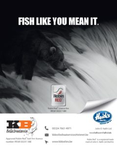 Haith's Robin Red Bait firm Haith's Robin Red Bait firm