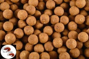 Boilies The real shrimp / garnaalboilie