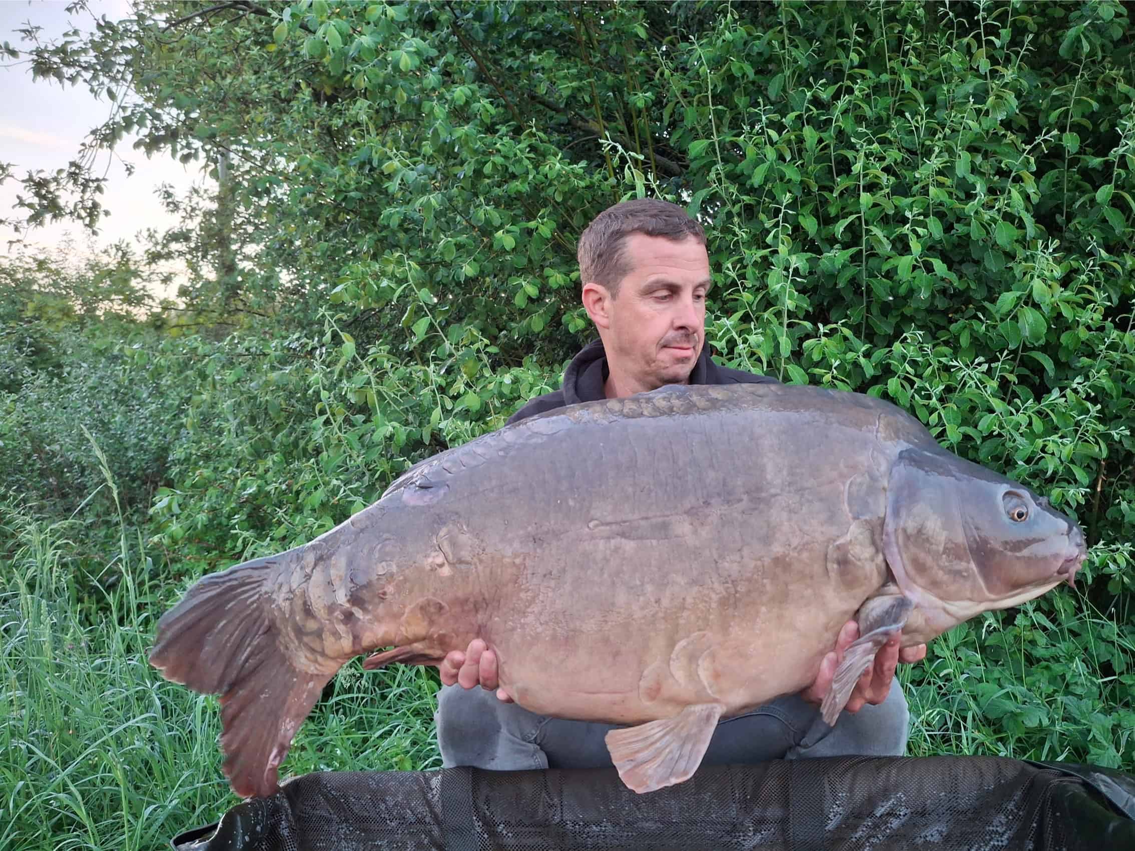Stijn Cremelie 03